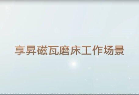 享昇全自動磁瓦磨床
